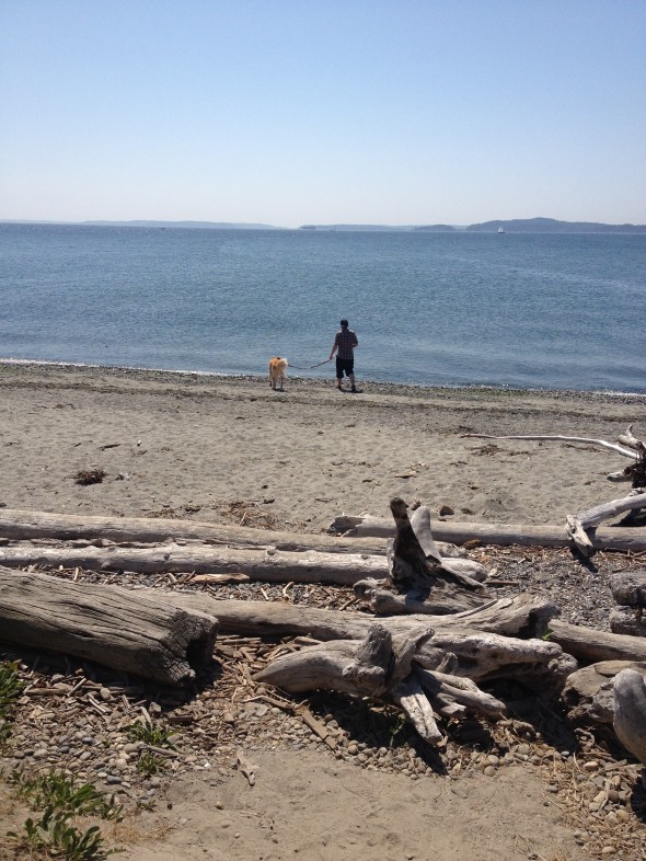 Beachfront views with a man and his dog from Discovery Park, Seattle