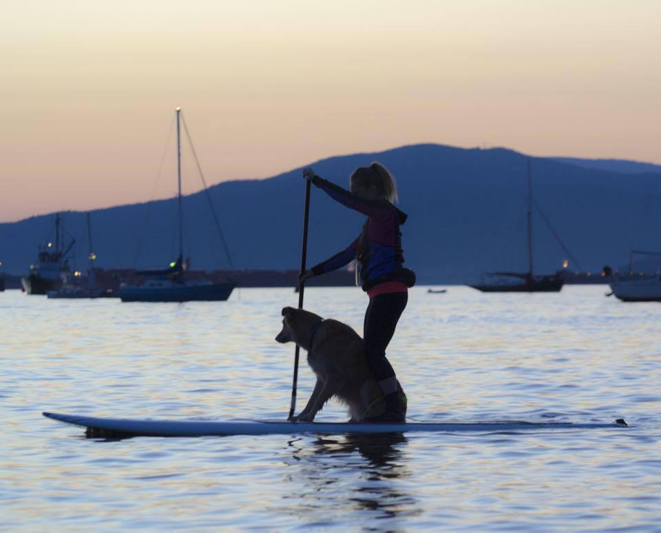 11149288_10155392991850258_9136104238923016226_n