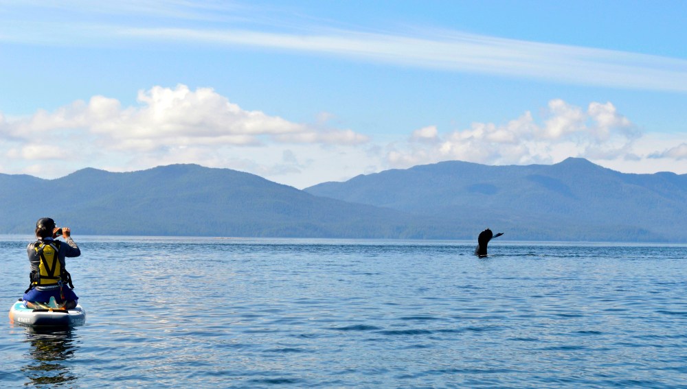 TINA WHALE-AmberTurnau